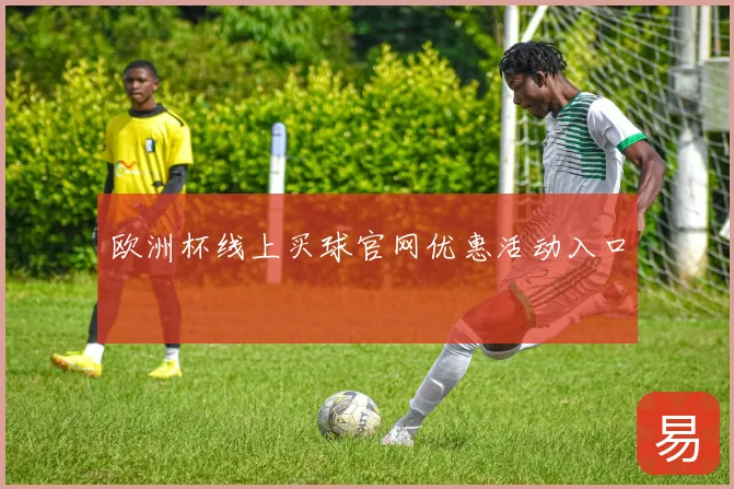 欧洲杯线上买球官网优惠活动入口