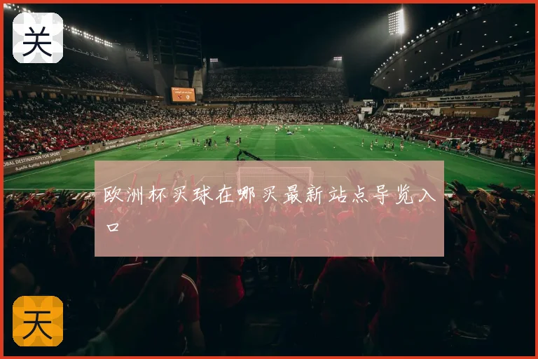 欧洲杯买球在哪买最新站点导览入口