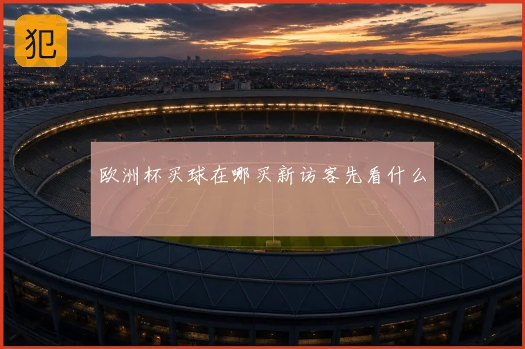 欧洲杯买球在哪买新访客先看什么